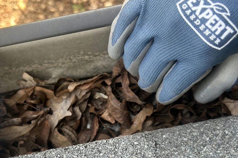 Gutter Cleaning Hendersonville, TN